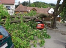 Kwikfynd Tree Cutting Services
croppacreek