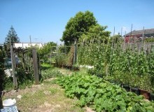 Kwikfynd Vegetable Gardens
croppacreek